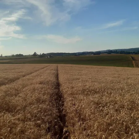 Apartment Aux Champs De La Colline Gouvy