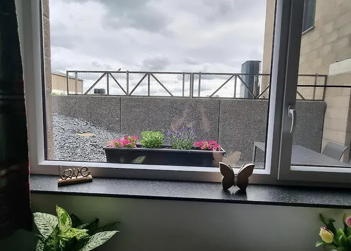 Aux Champs De La Colline *