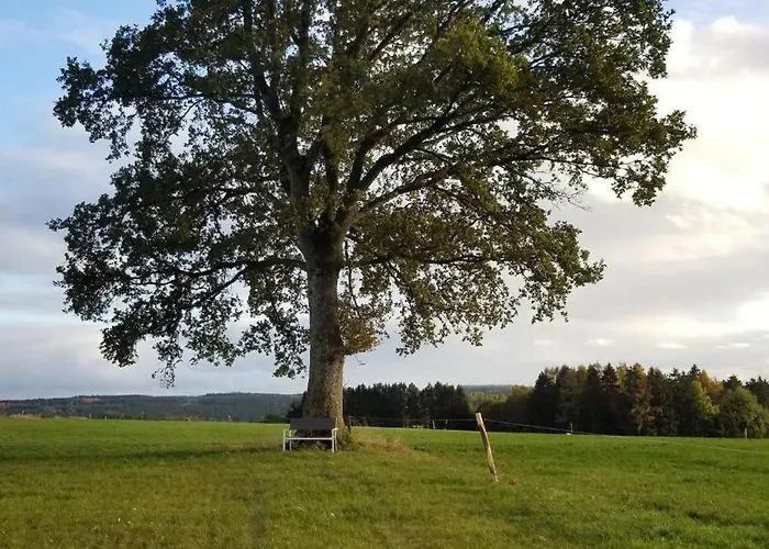 Apartment Aux Champs De La Colline *