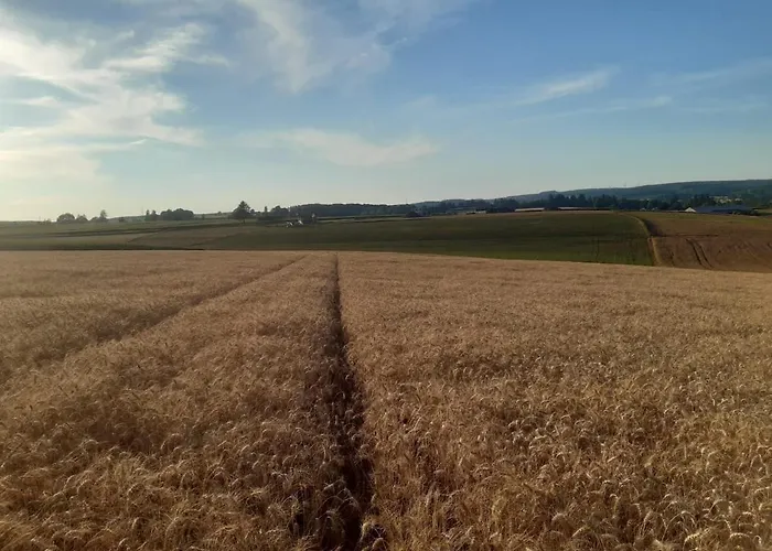 Apartment Aux Champs De La Colline Gouvy